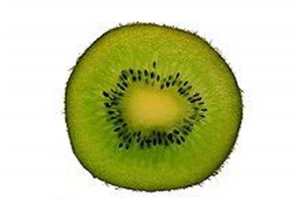 Kiwi groen De Vrijloophoeve Webshop